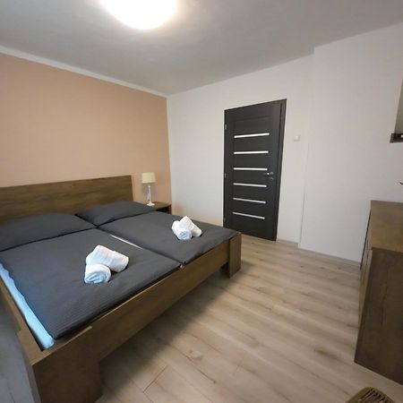 Apartman Andrea Loučovice Kültér fotó